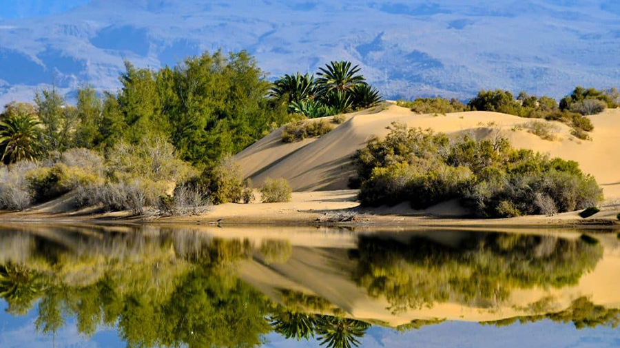 Maspalomas investeert 1,7 miljoen euro in duurzame verlichting en mobiliteit